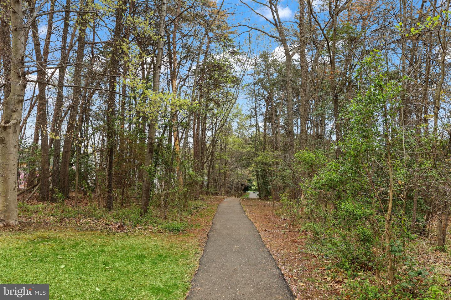 10117 Chokecherry Ct Property Photo 57
