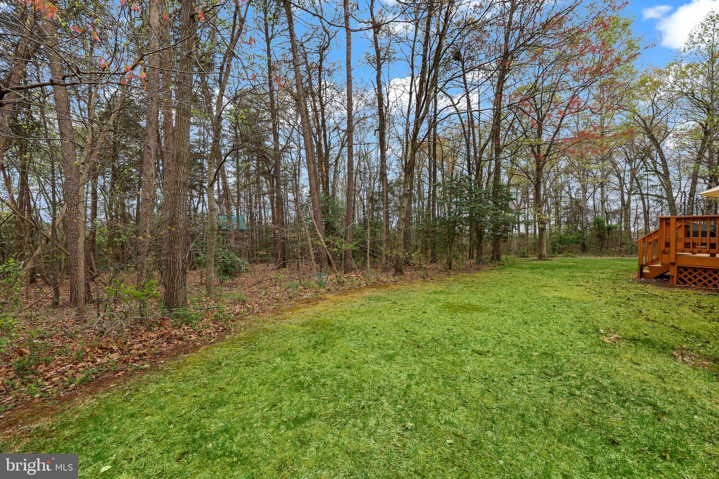 10117 Chokecherry Ct Property Photo 58
