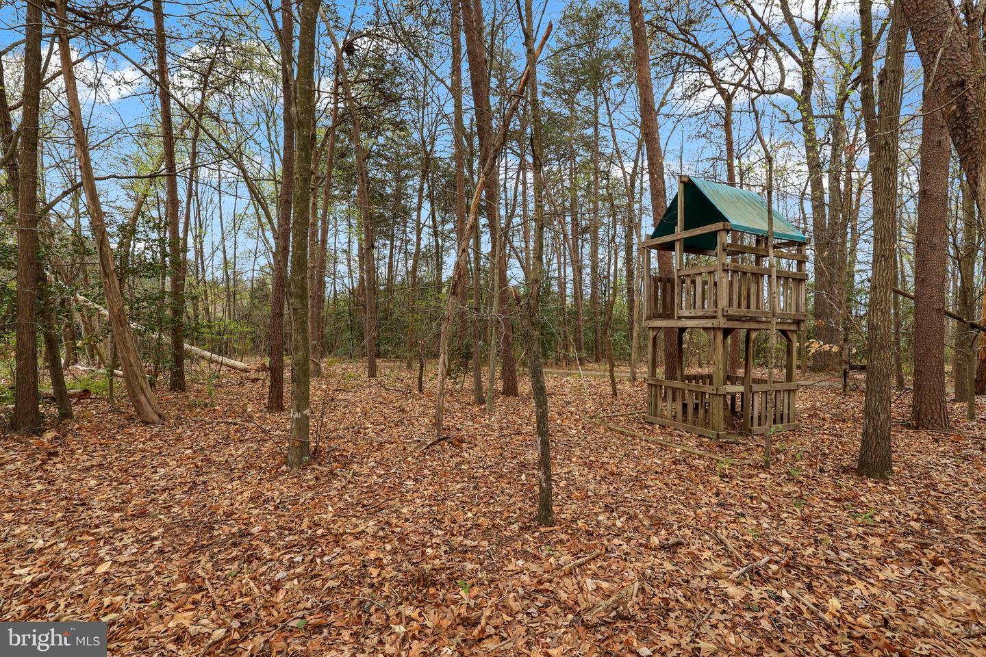 10117 Chokecherry Ct Property Photo 59