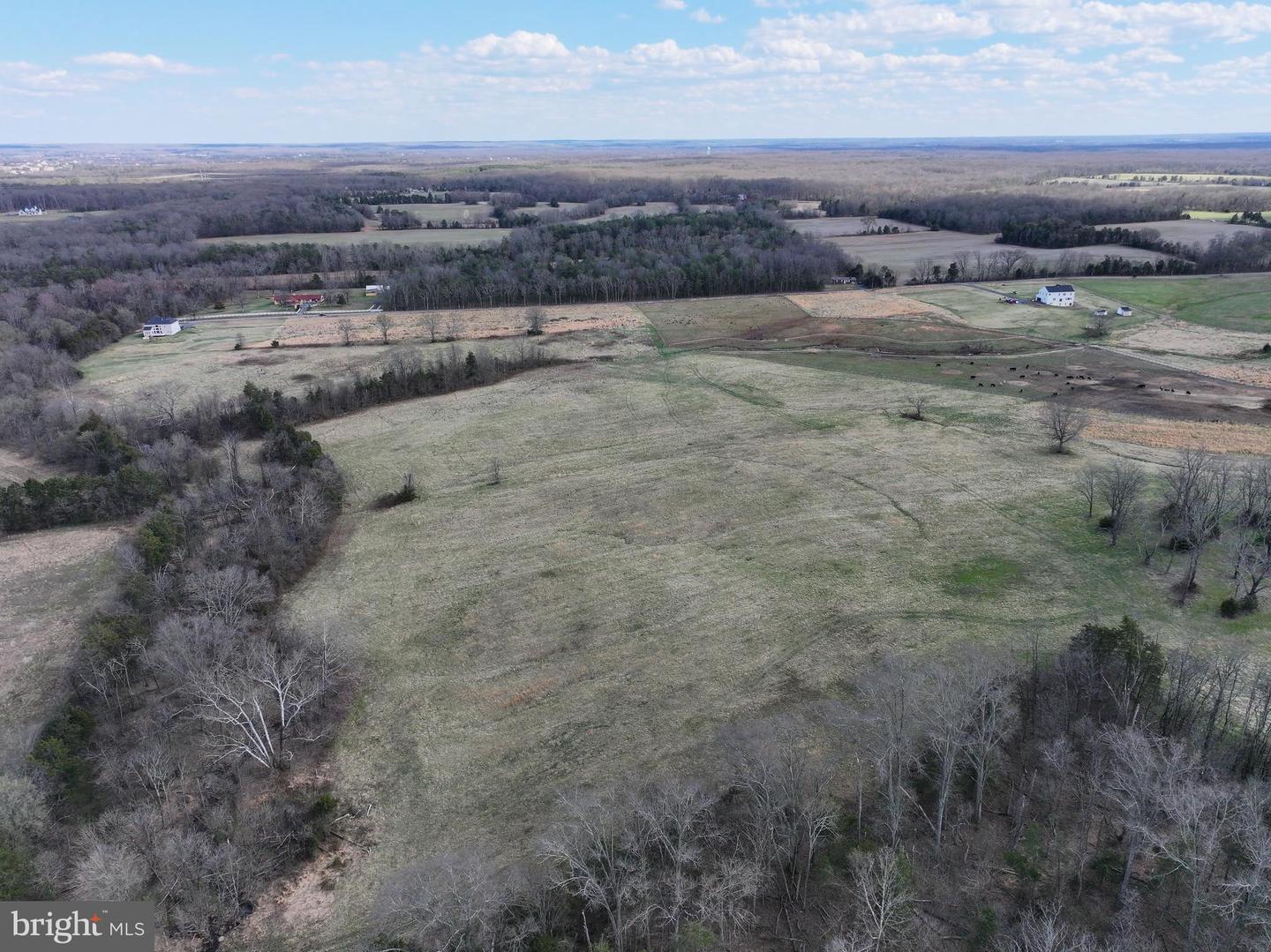 11810 Reid Ln Property Photo 6