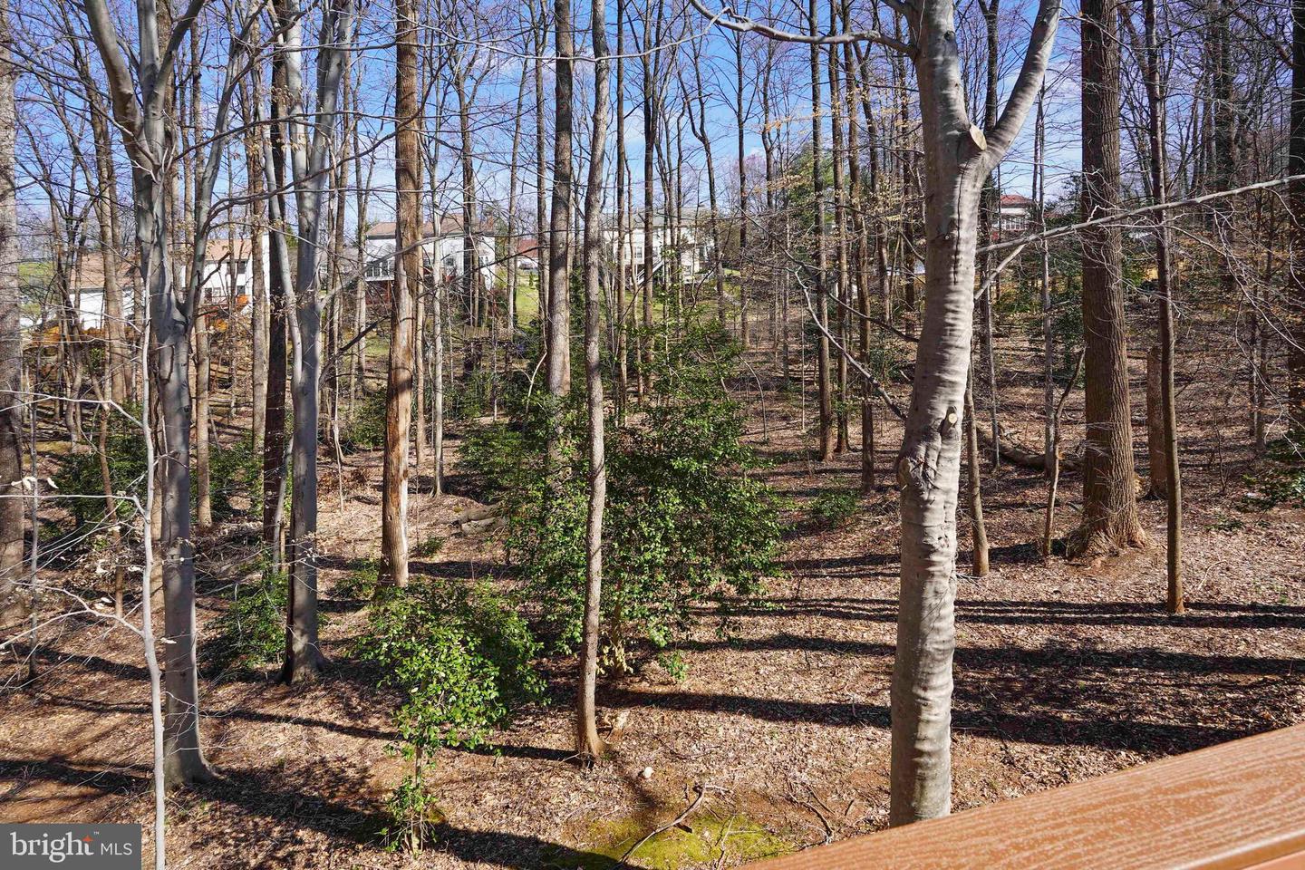 4269 Decatur Dr Property Photo 48