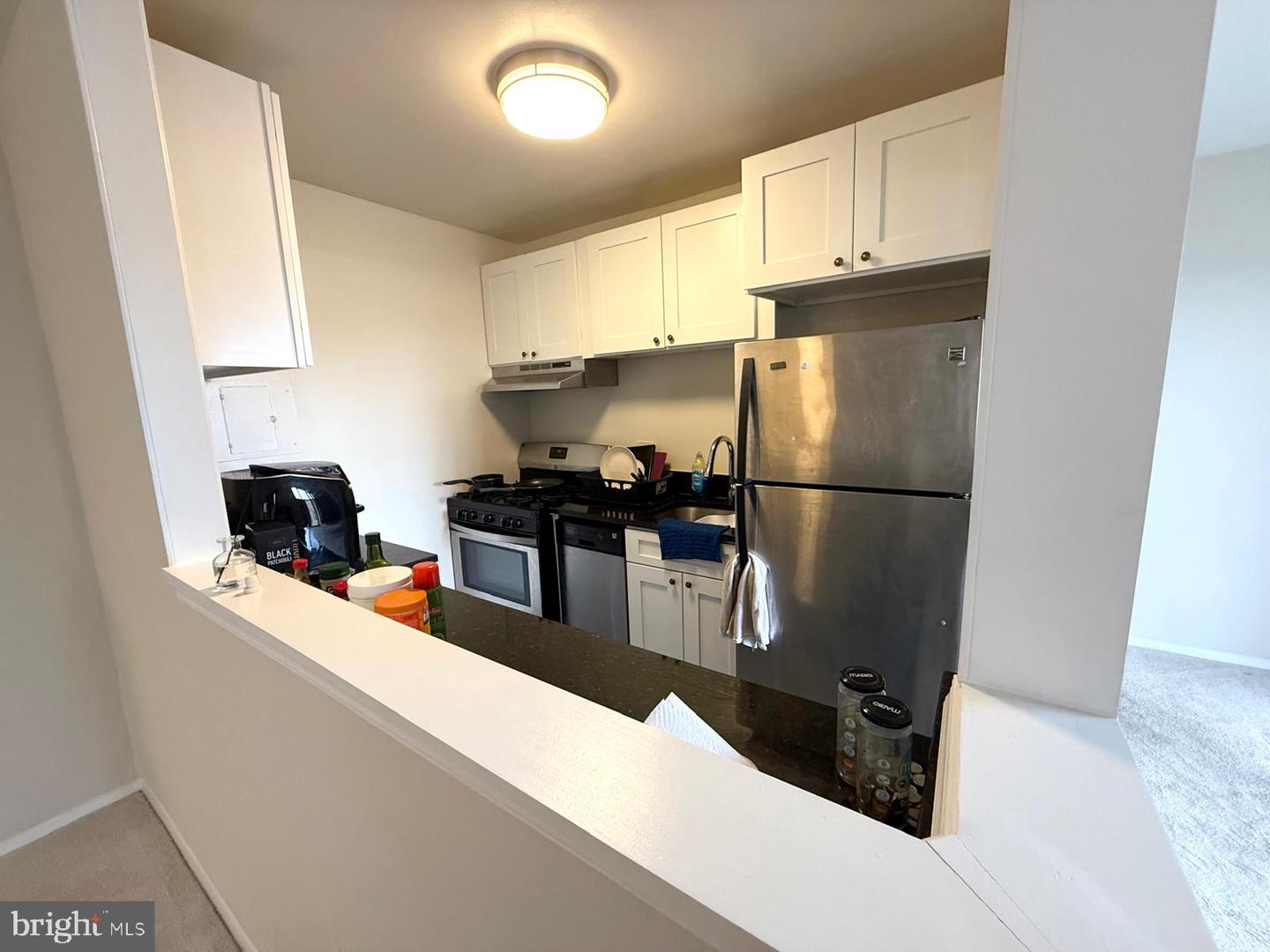 1602 Renate Drive #202 Property Photo 7