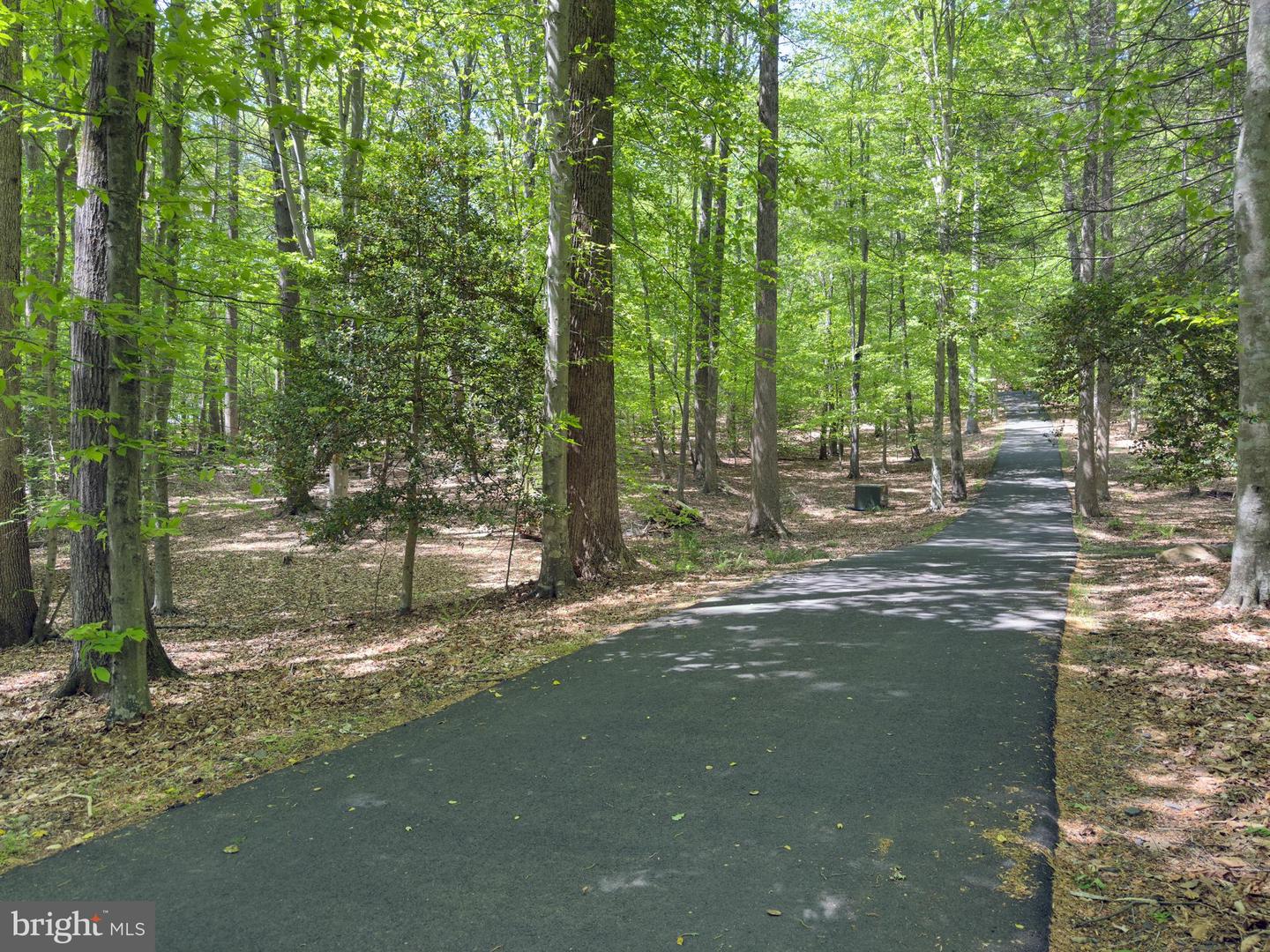 6031 Lady Slipper Ln Property Photo 78