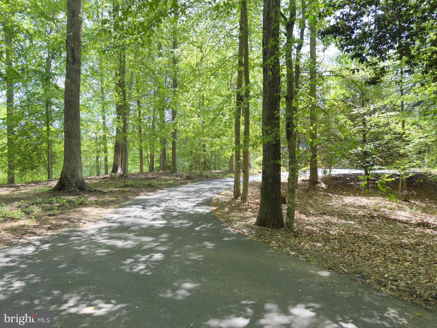6031 Lady Slipper Ln Property Photo 79