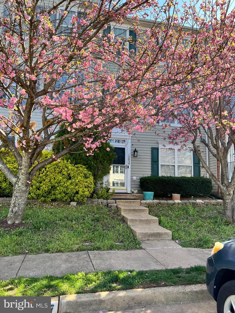 12039 Elliots Oak Pl Property Photo