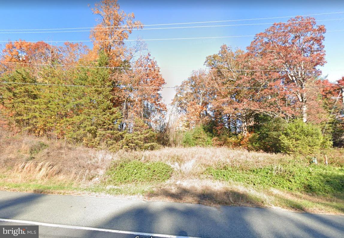 15969 Dumfries Rd Property Photo 3