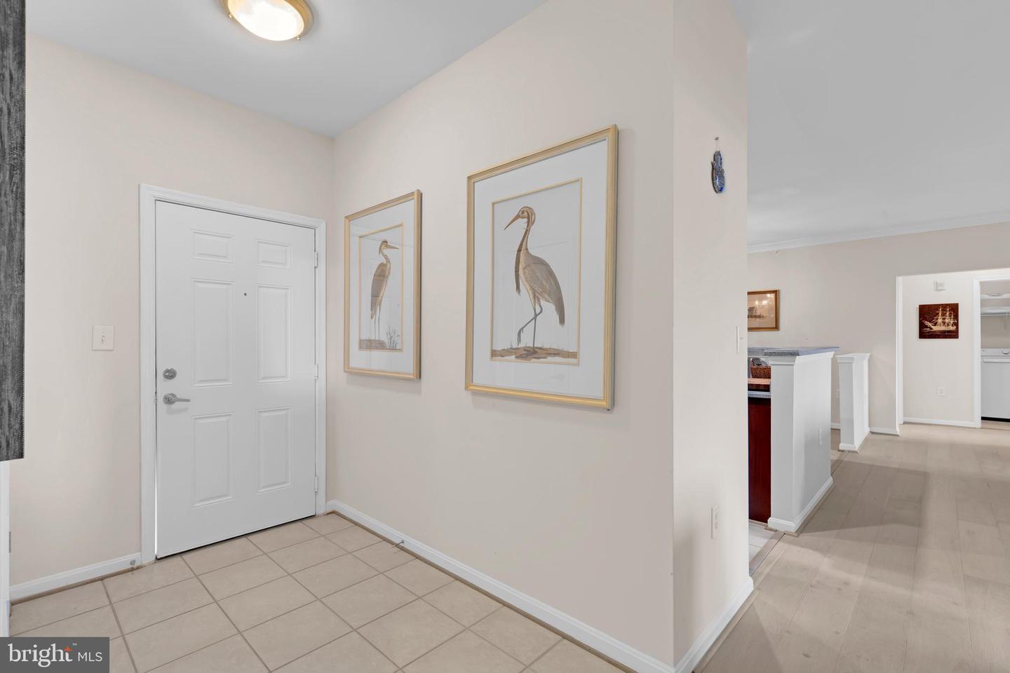 1601 Ladue Ct #402 Property Photo 6