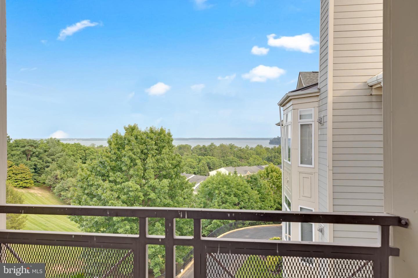 1601 Ladue Ct #402 Property Photo 27