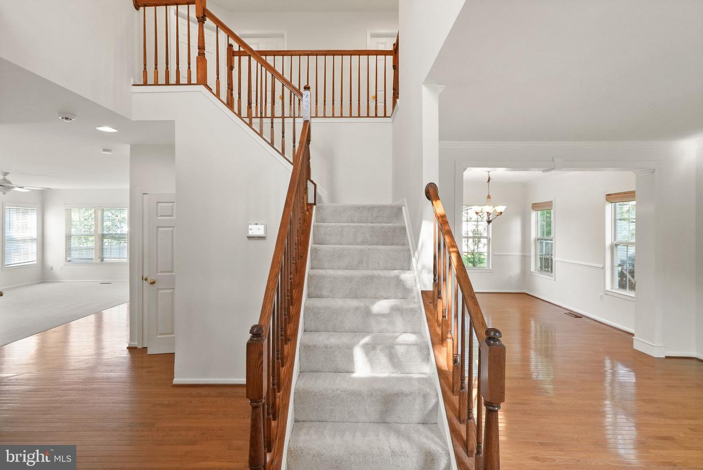 9836 Rainleaf Ct Property Photo 4