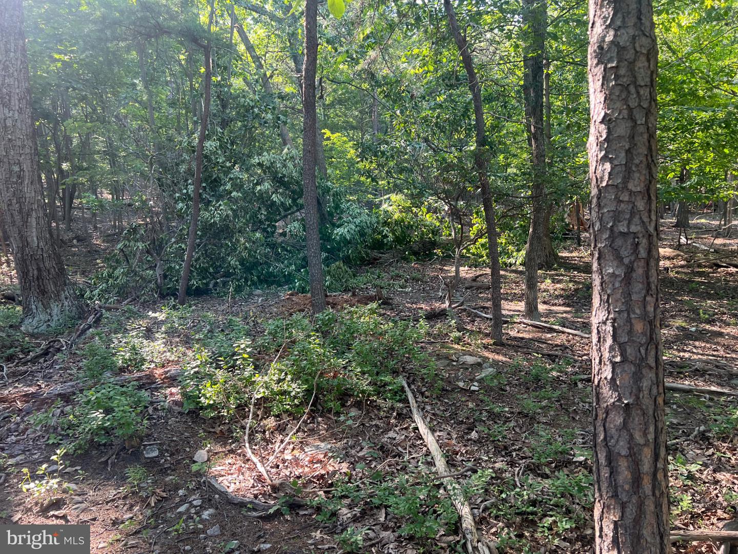 2608 Jackson Dr Property Photo 1