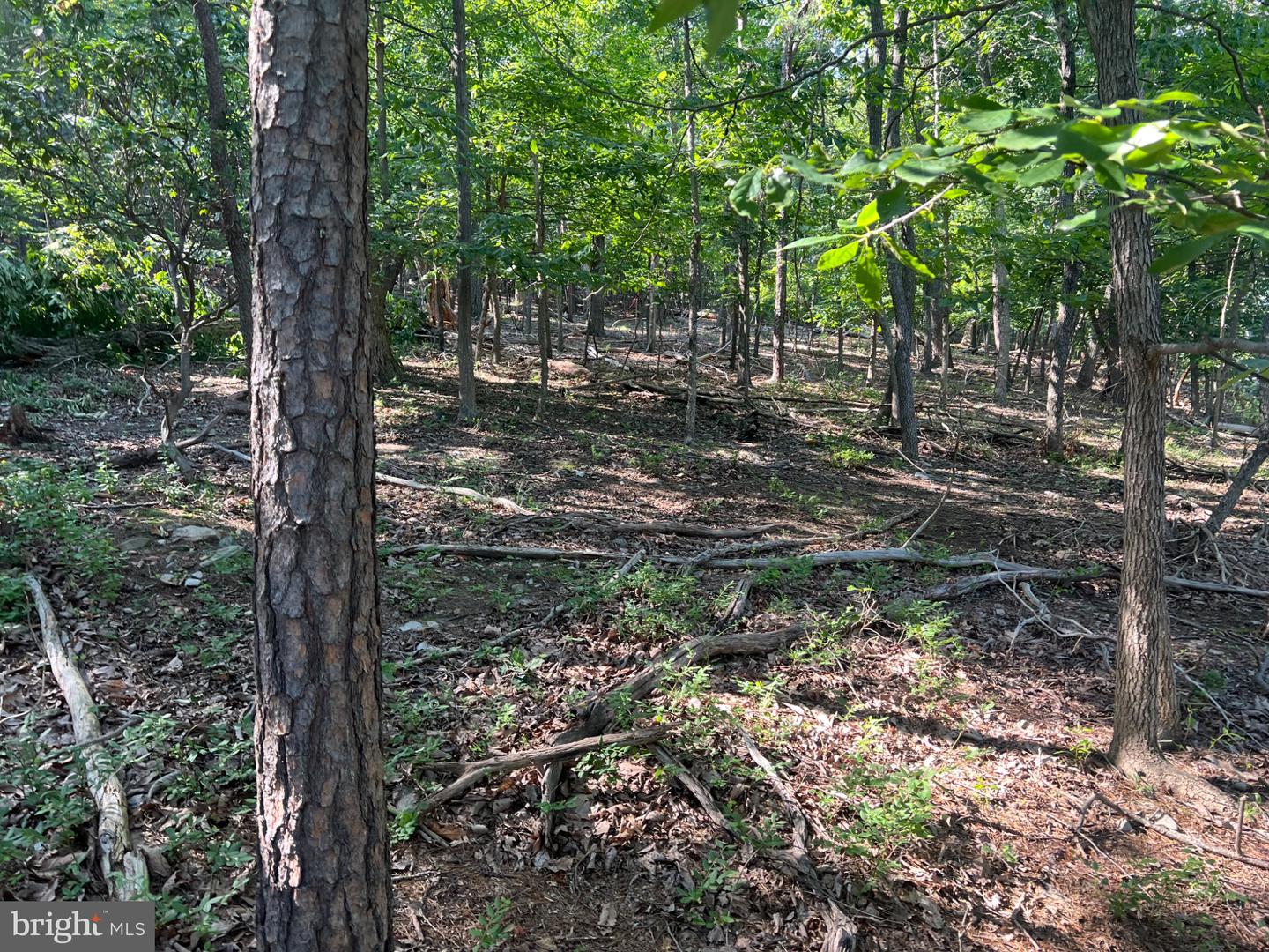 2608 Jackson Dr Property Photo 3