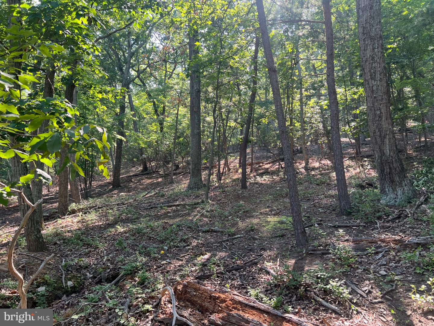 2608 Jackson Dr Property Photo 4