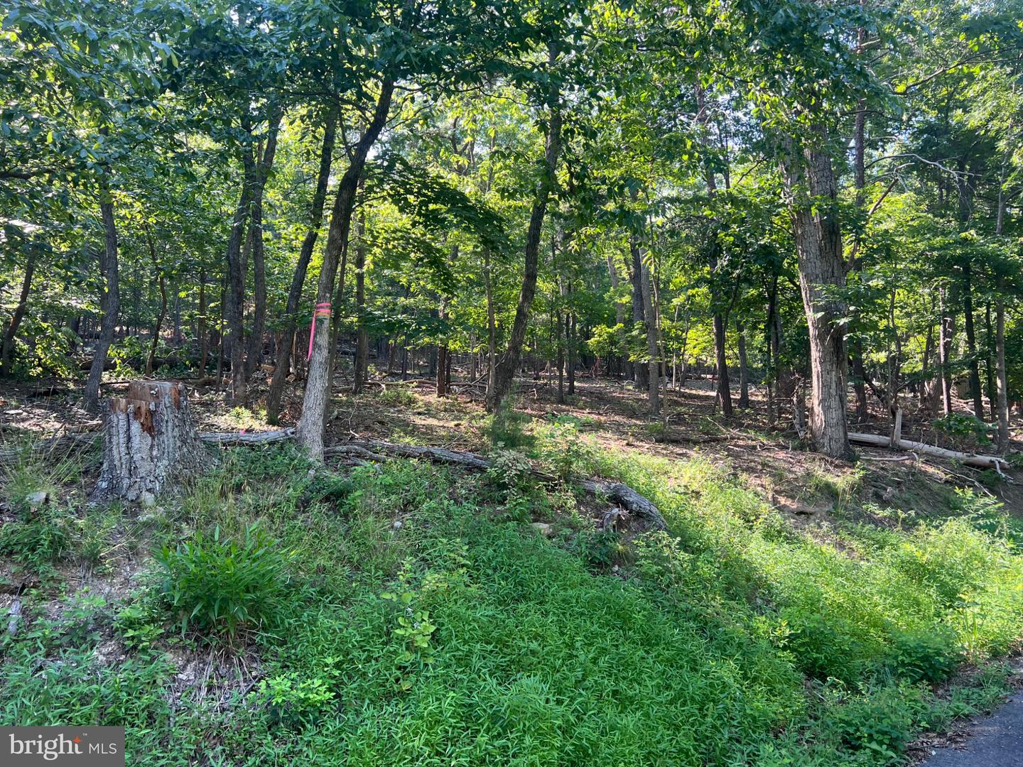 2608 Jackson Dr Property Photo 6