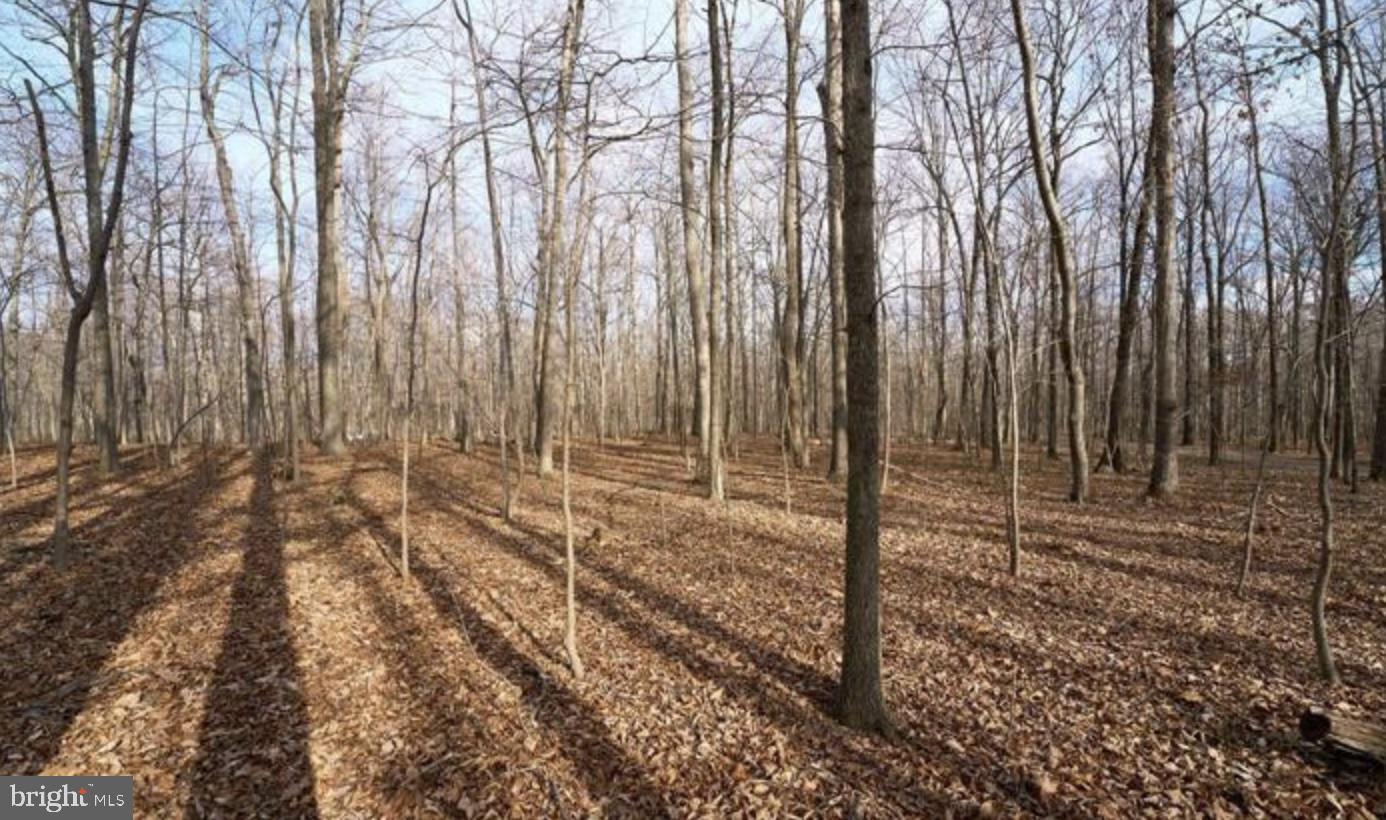 2001 Mountain Rd Property Photo 5