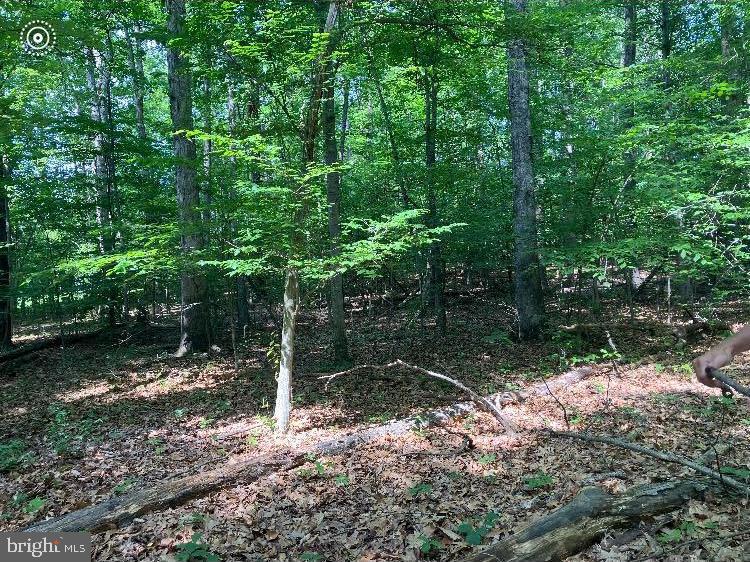 9343 Troy Dr Property Photo 2