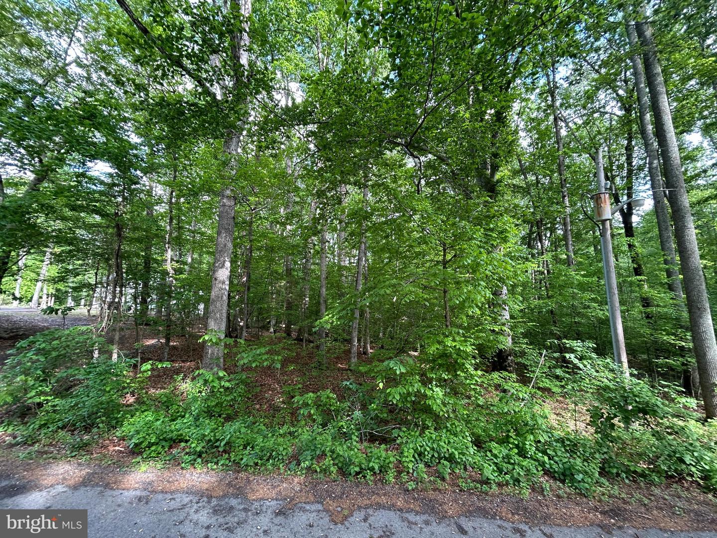 9499 Petterson Ln Property Photo 4