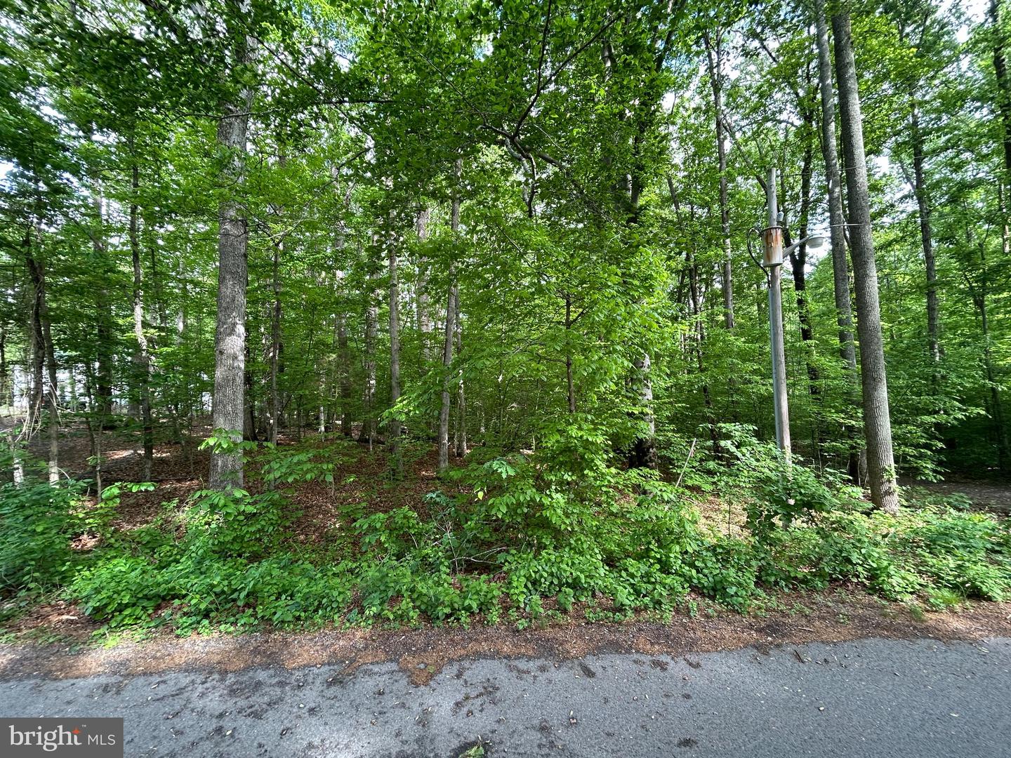 9499 Petterson Ln Property Photo 5