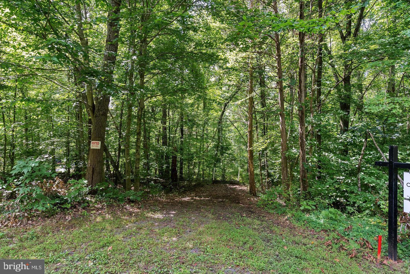 Marlette Dr Property Photo 3