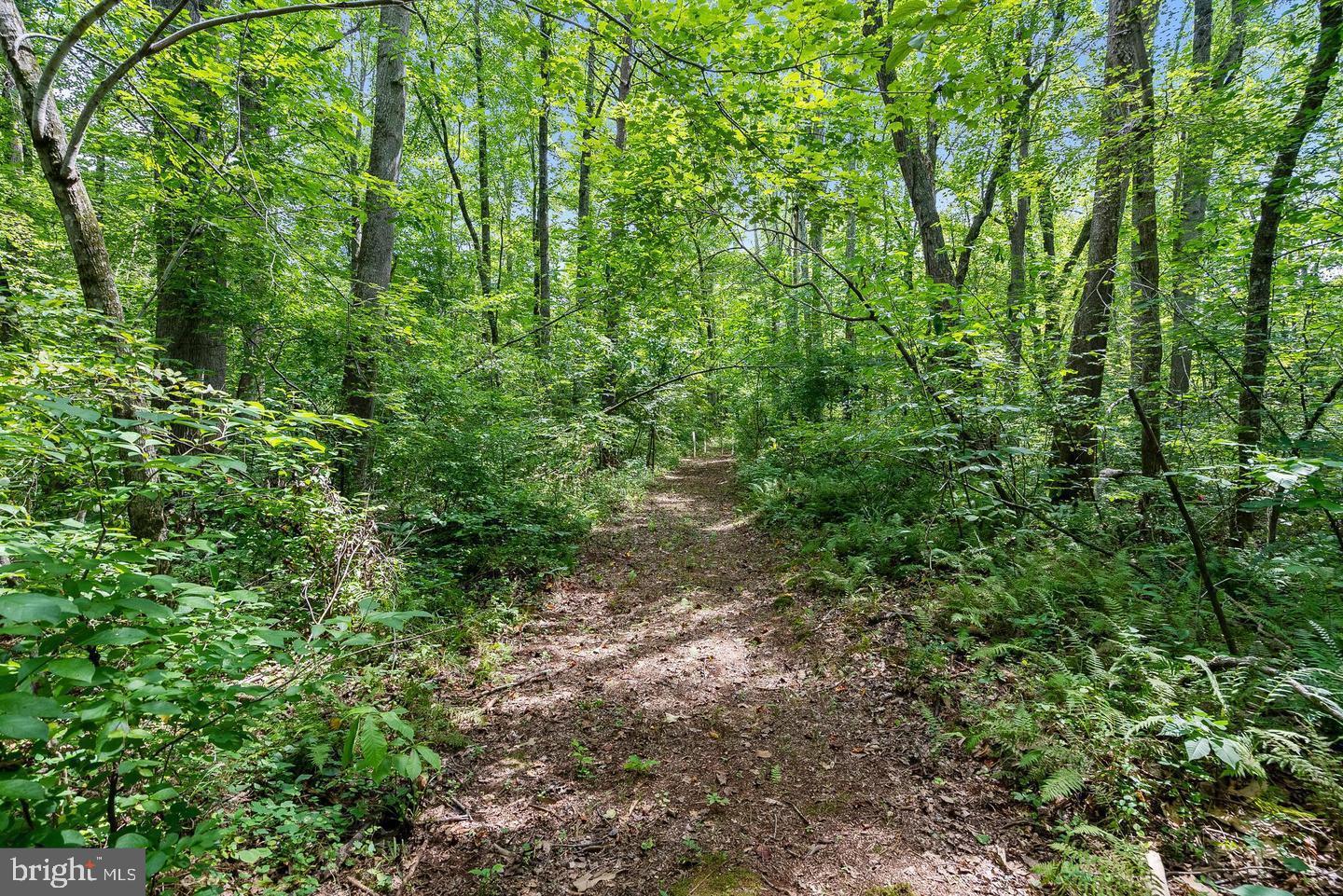 Marlette Dr Property Photo 4