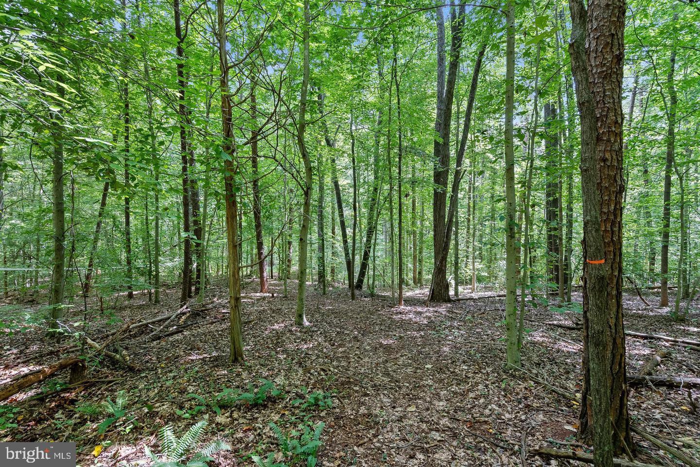 Marlette Dr Property Photo 5