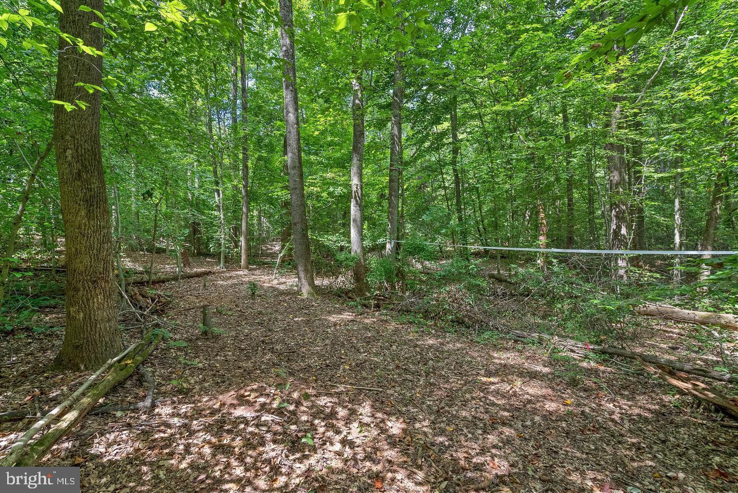 Marlette Dr Property Photo 6