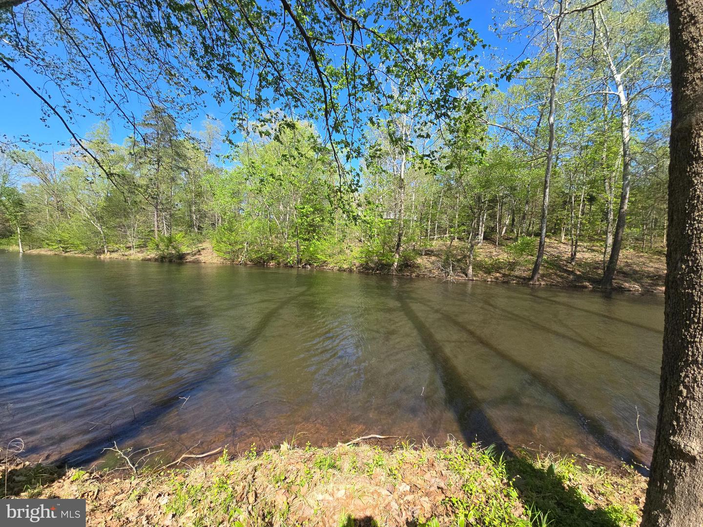 10955 Poplar Ford Trl Property Photo 2