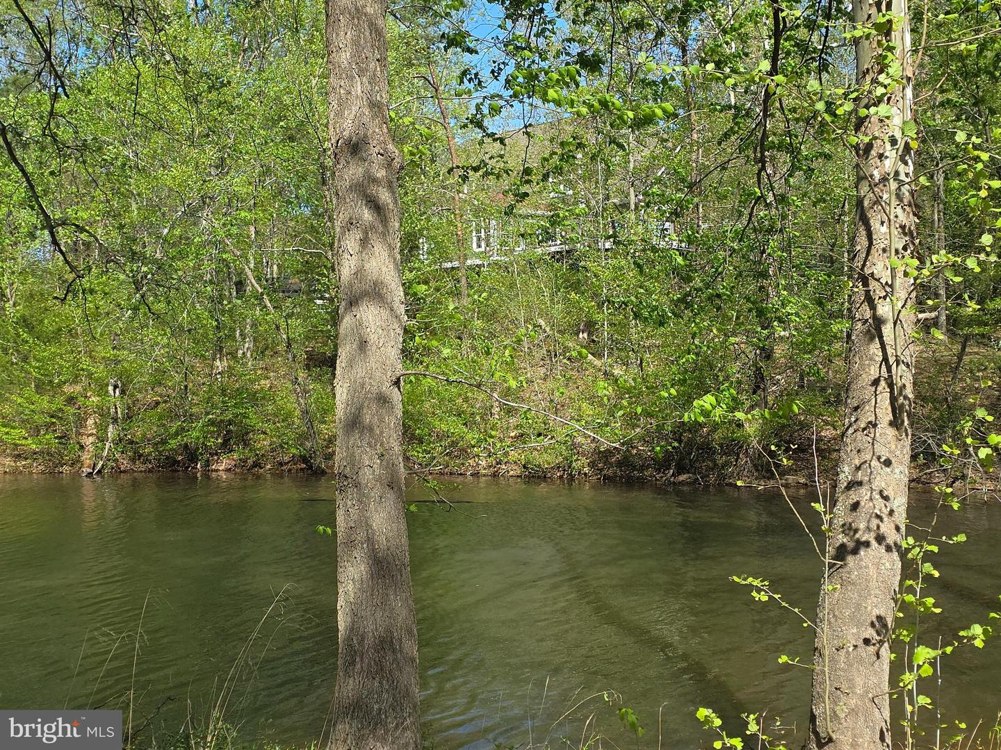 10955 Poplar Ford Trl Property Photo 3