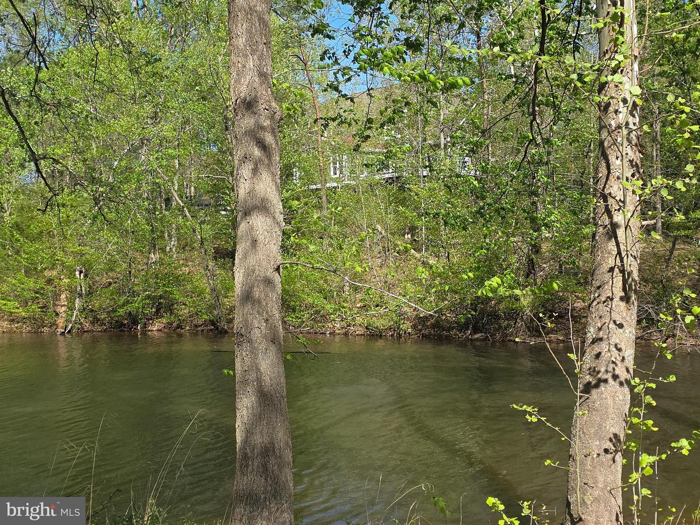 10955 Poplar Ford Trl Property Photo 4