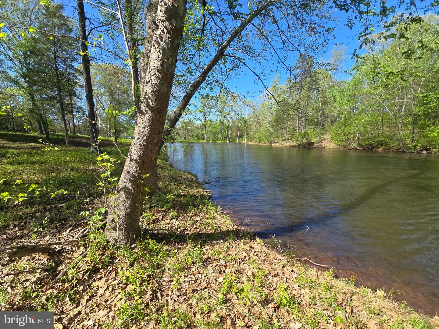 10955 Poplar Ford Trl Property Photo 5
