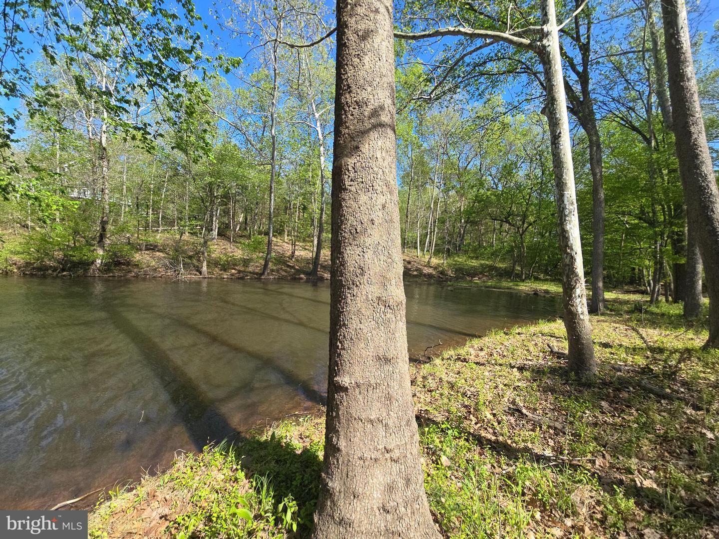 10955 Poplar Ford Trl Property Photo 6