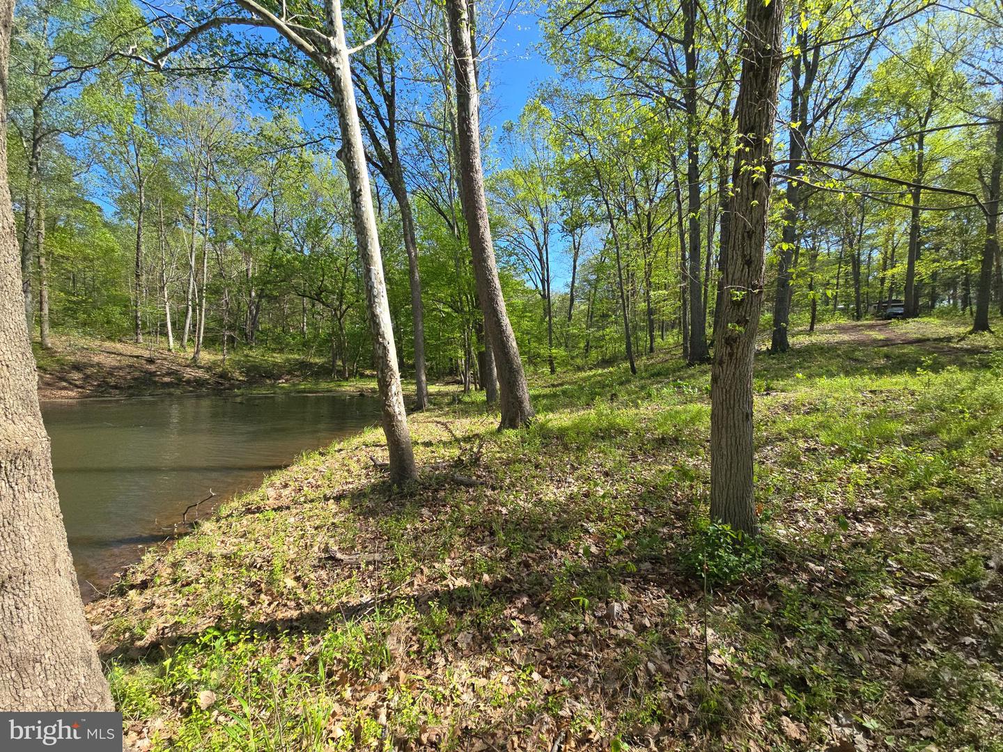 10955 Poplar Ford Trl Property Photo 7