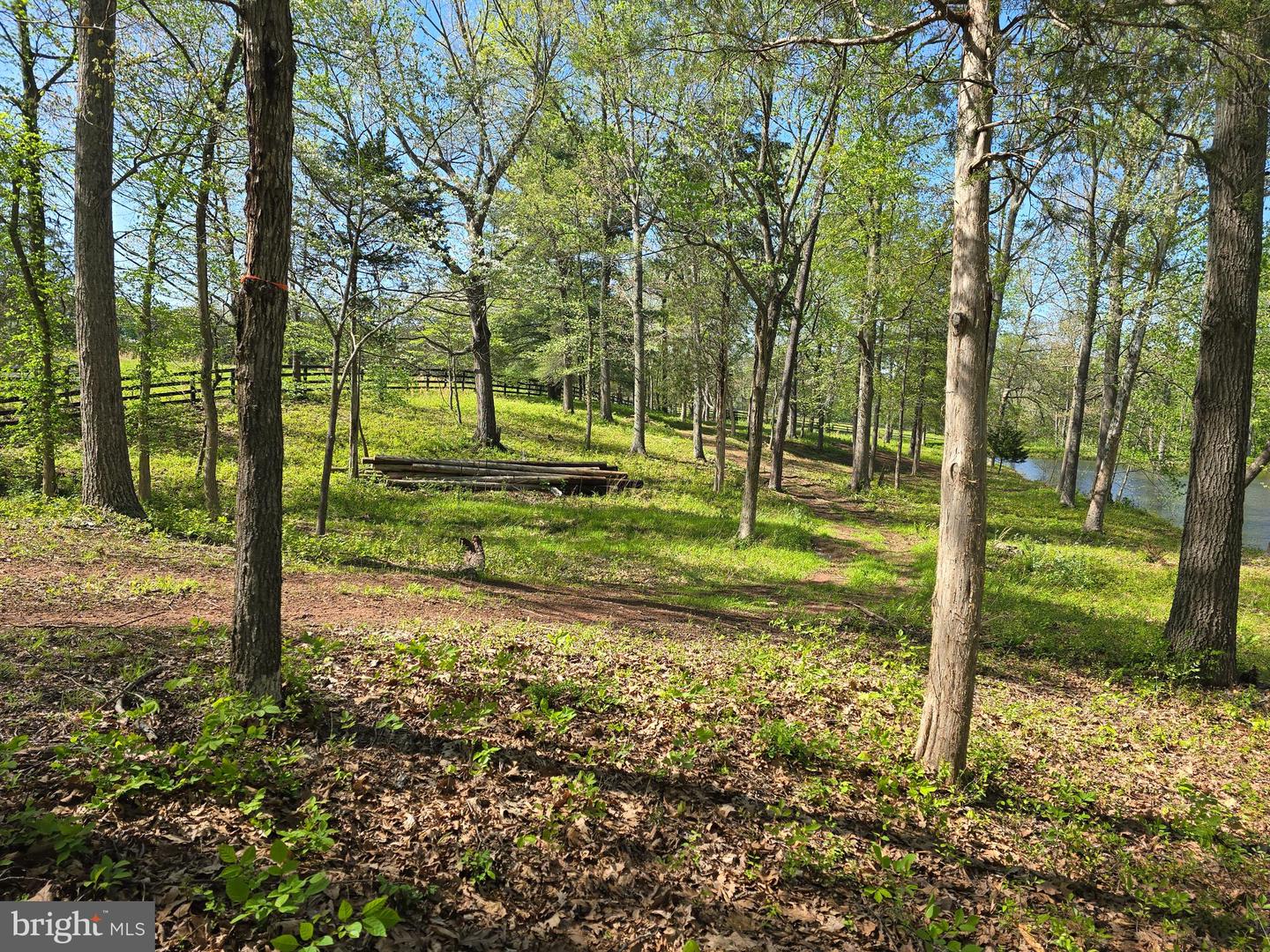 10955 Poplar Ford Trl Property Photo 8