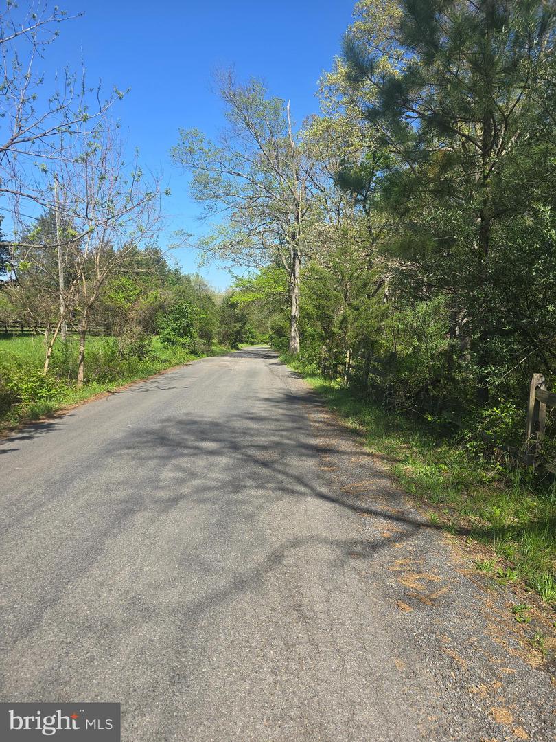 10955 Poplar Ford Trl Property Photo 9