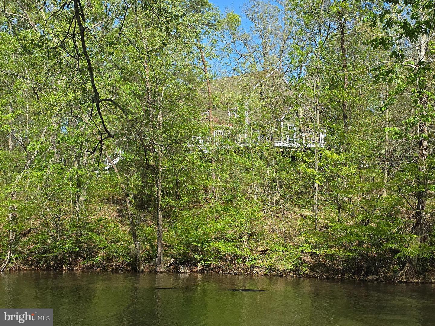 10955 Poplar Ford Trl Property Photo 10