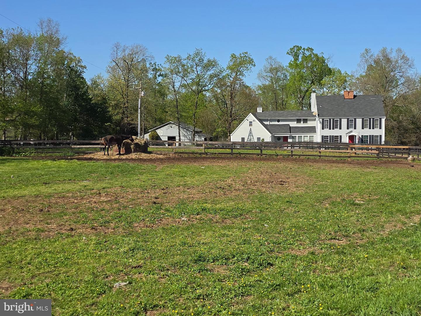 10955 Poplar Ford Trl Property Photo 13