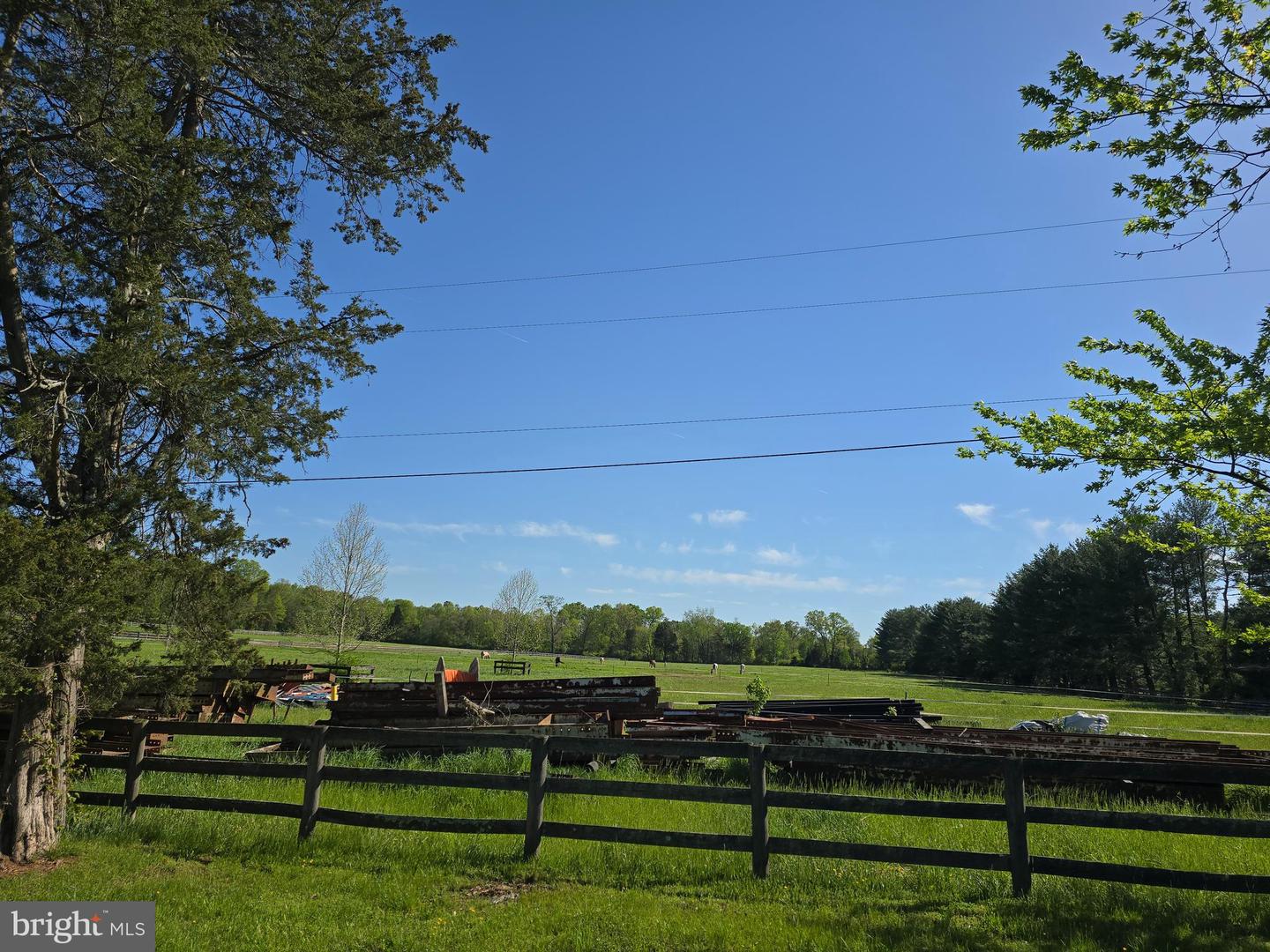 10955 Poplar Ford Trl Property Photo 38