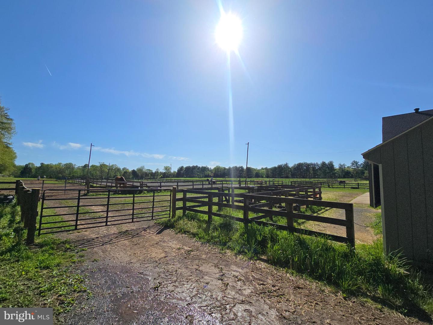 10955 Poplar Ford Trl Property Photo 43