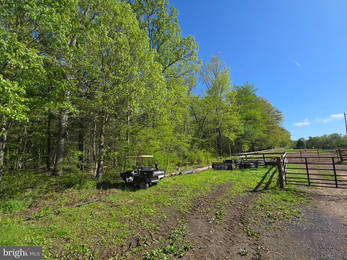 10955 Poplar Ford Trl Property Photo 45