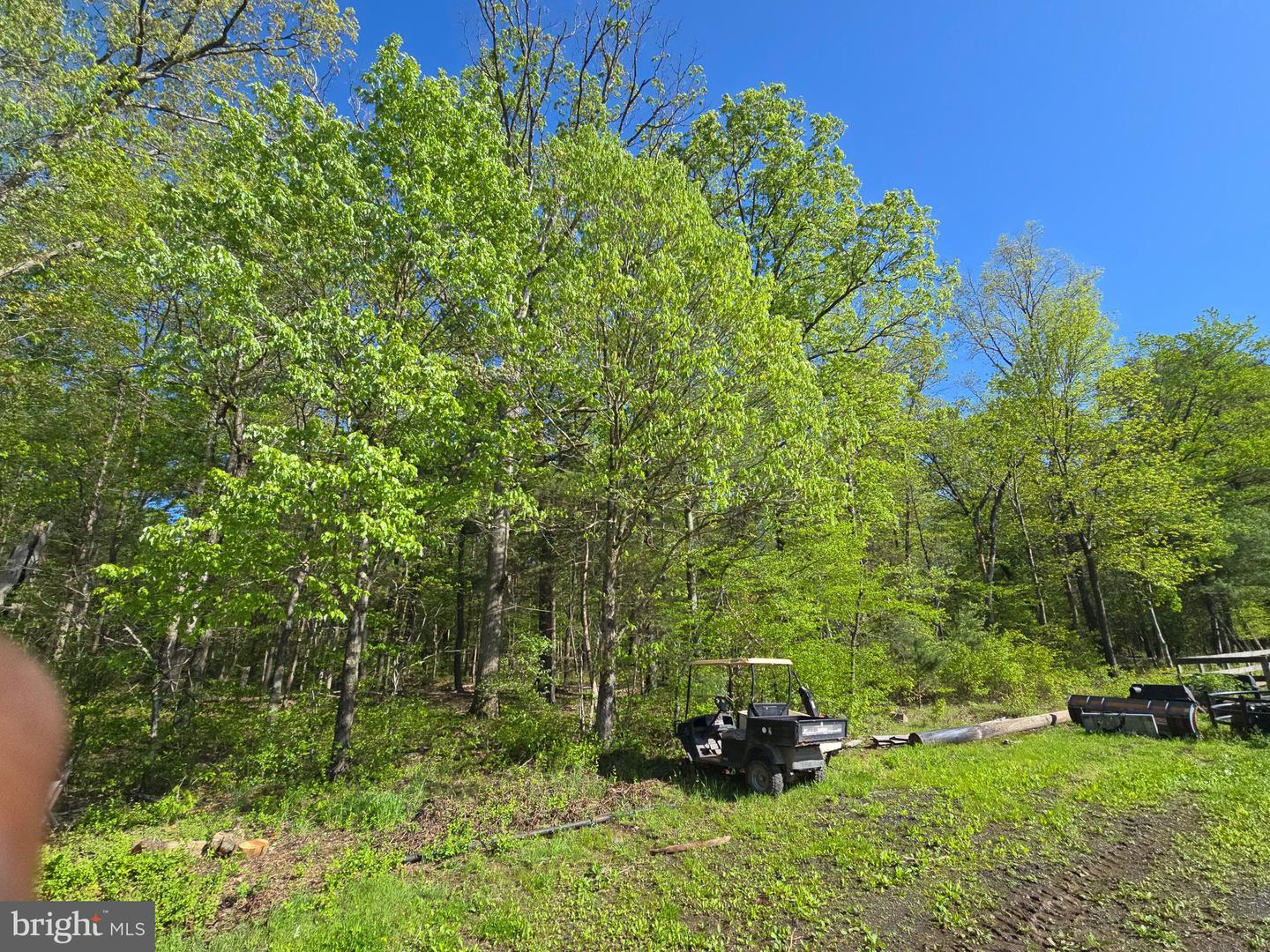 10955 Poplar Ford Trl Property Photo 46