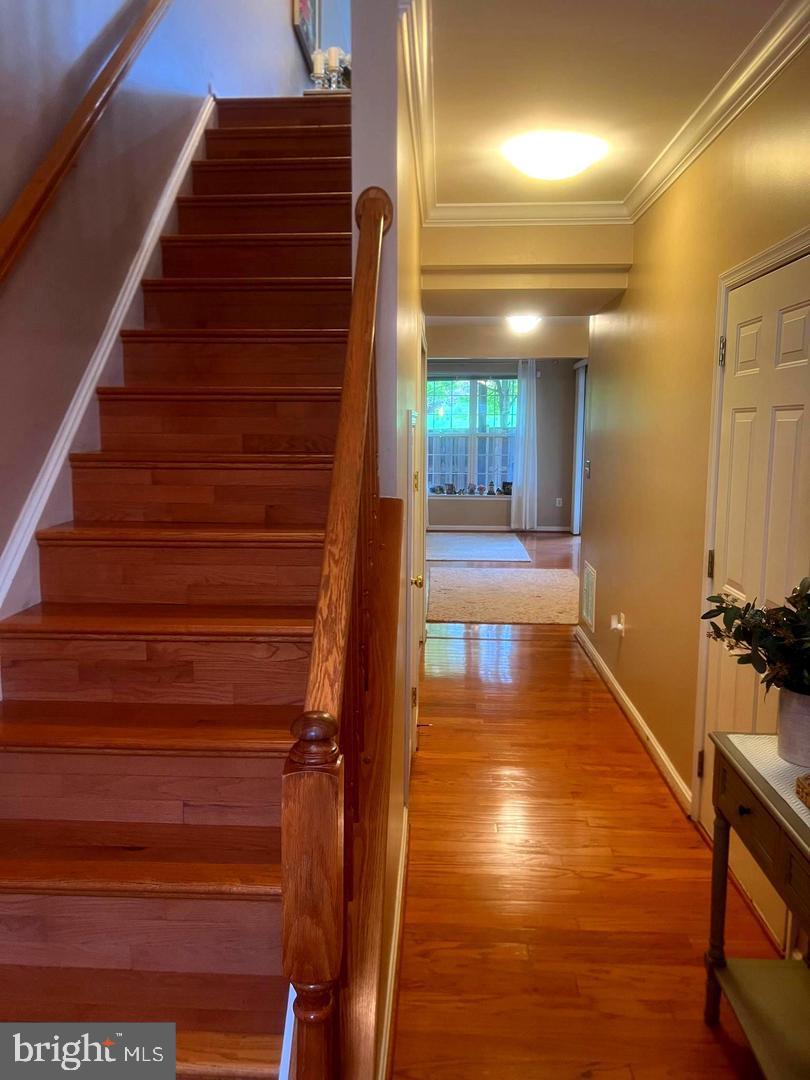14263 Legend Glen Ct Property Photo 8