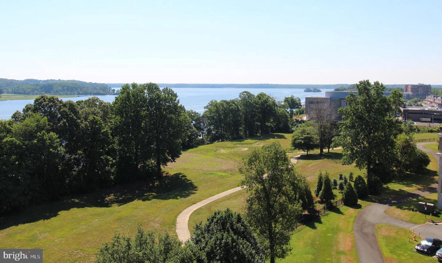 830 Belmont Bay Dr #303 Property Photo 5