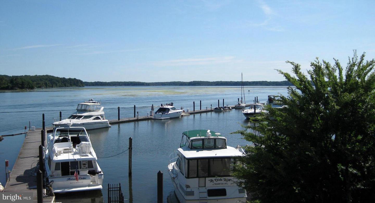 830 Belmont Bay Dr #303 Property Photo 26