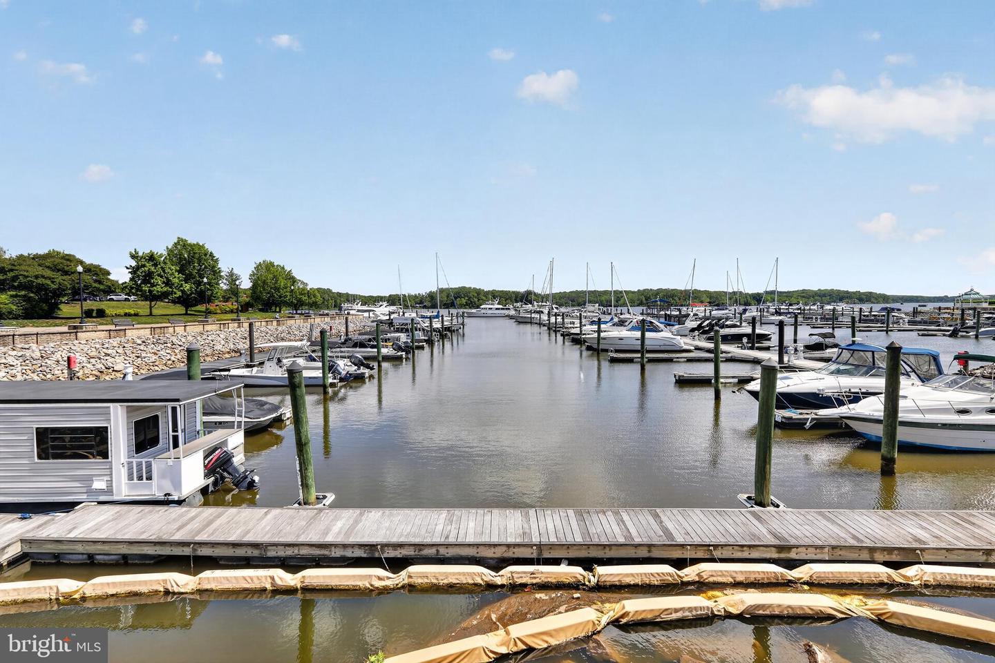 810 Belmont Bay Dr #302 Property Photo 29