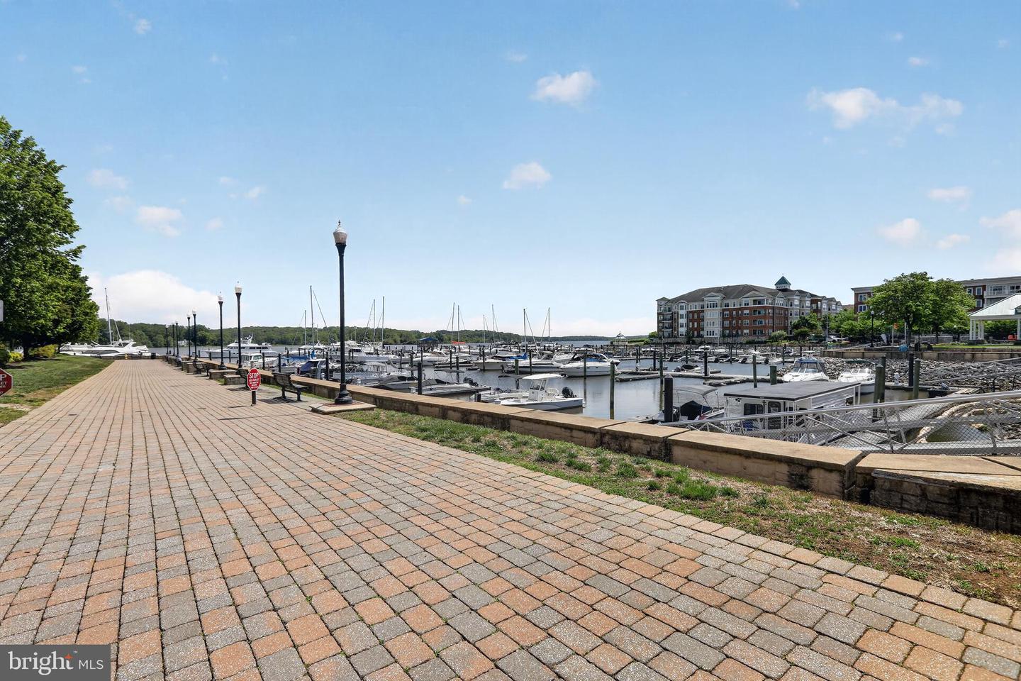 810 Belmont Bay Dr #302 Property Photo 31