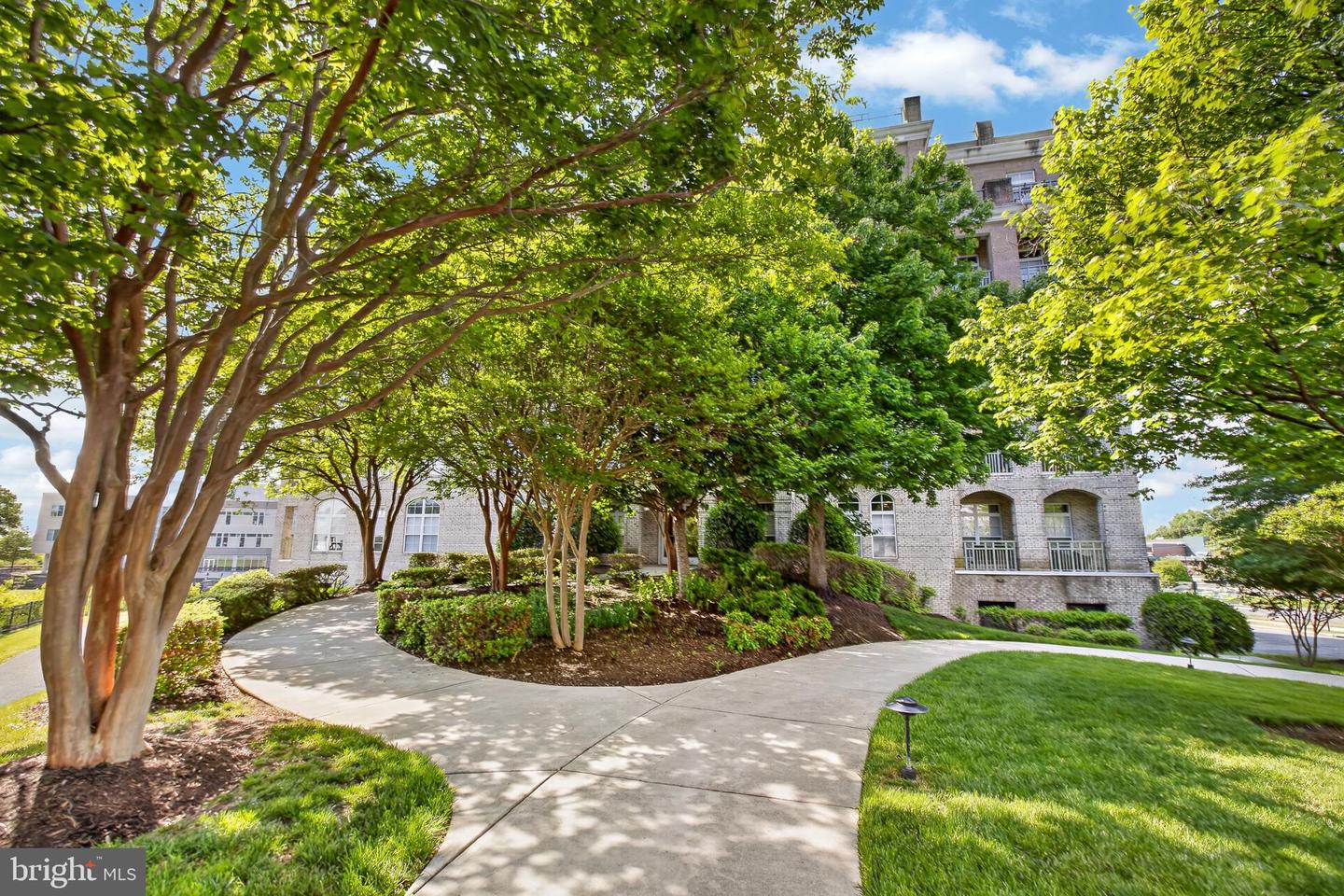 810 Belmont Bay Dr #302 Property Photo 42