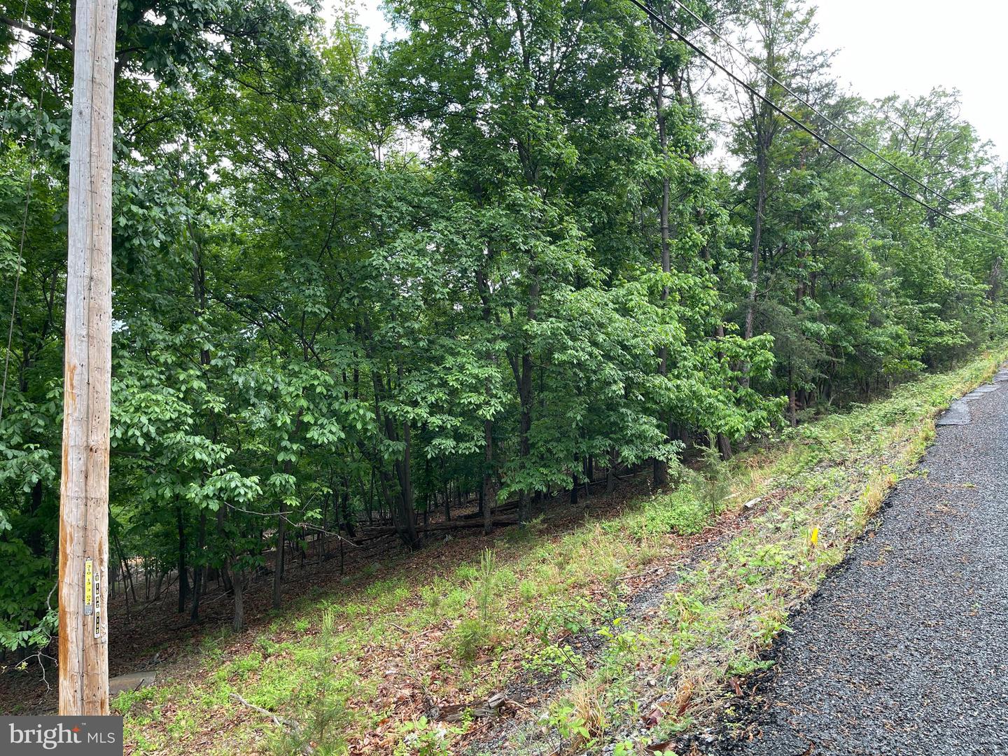 16207 Sumney Dr Property Photo 3