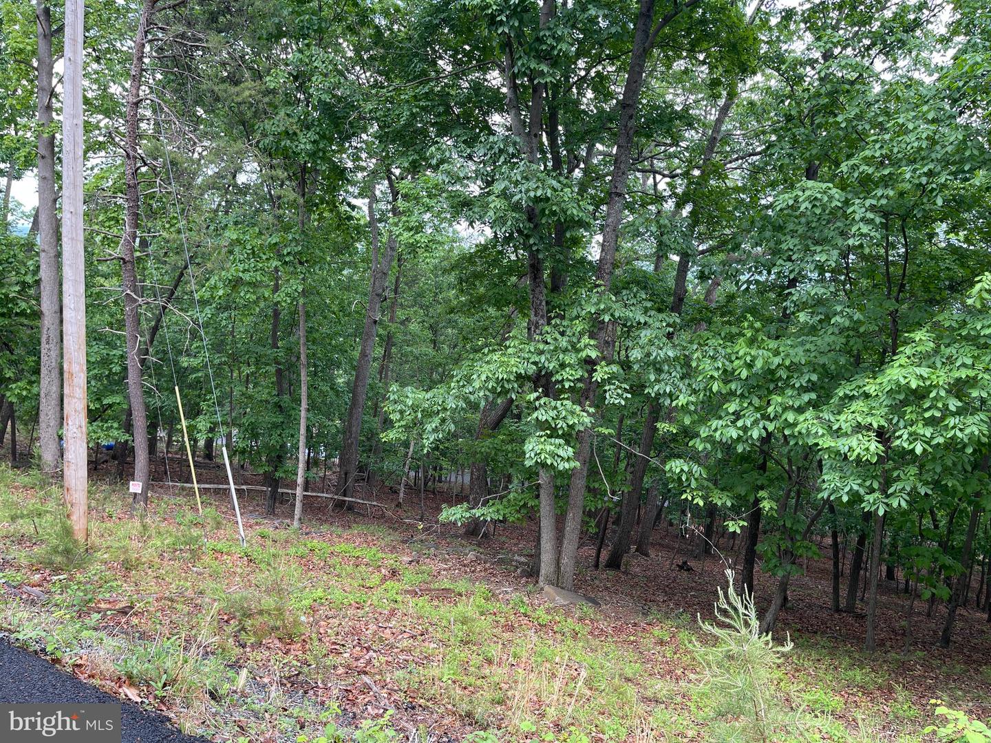 16207 Sumney Dr Property Photo 4