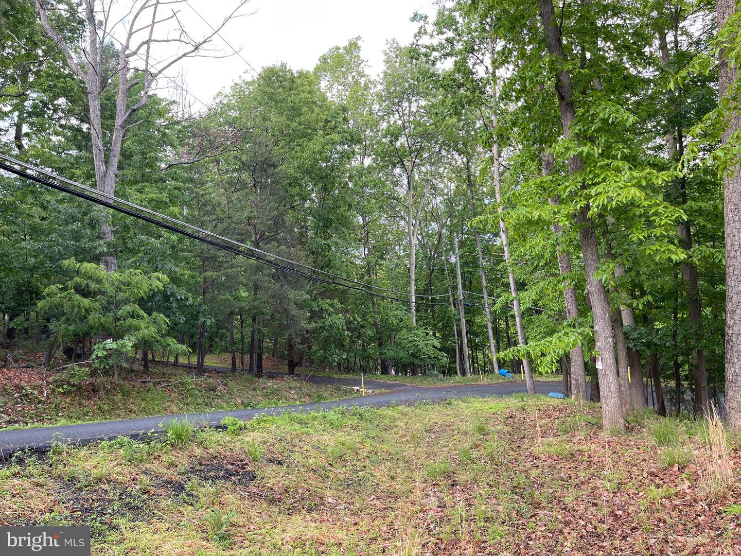 16207 Sumney Dr Property Photo 6
