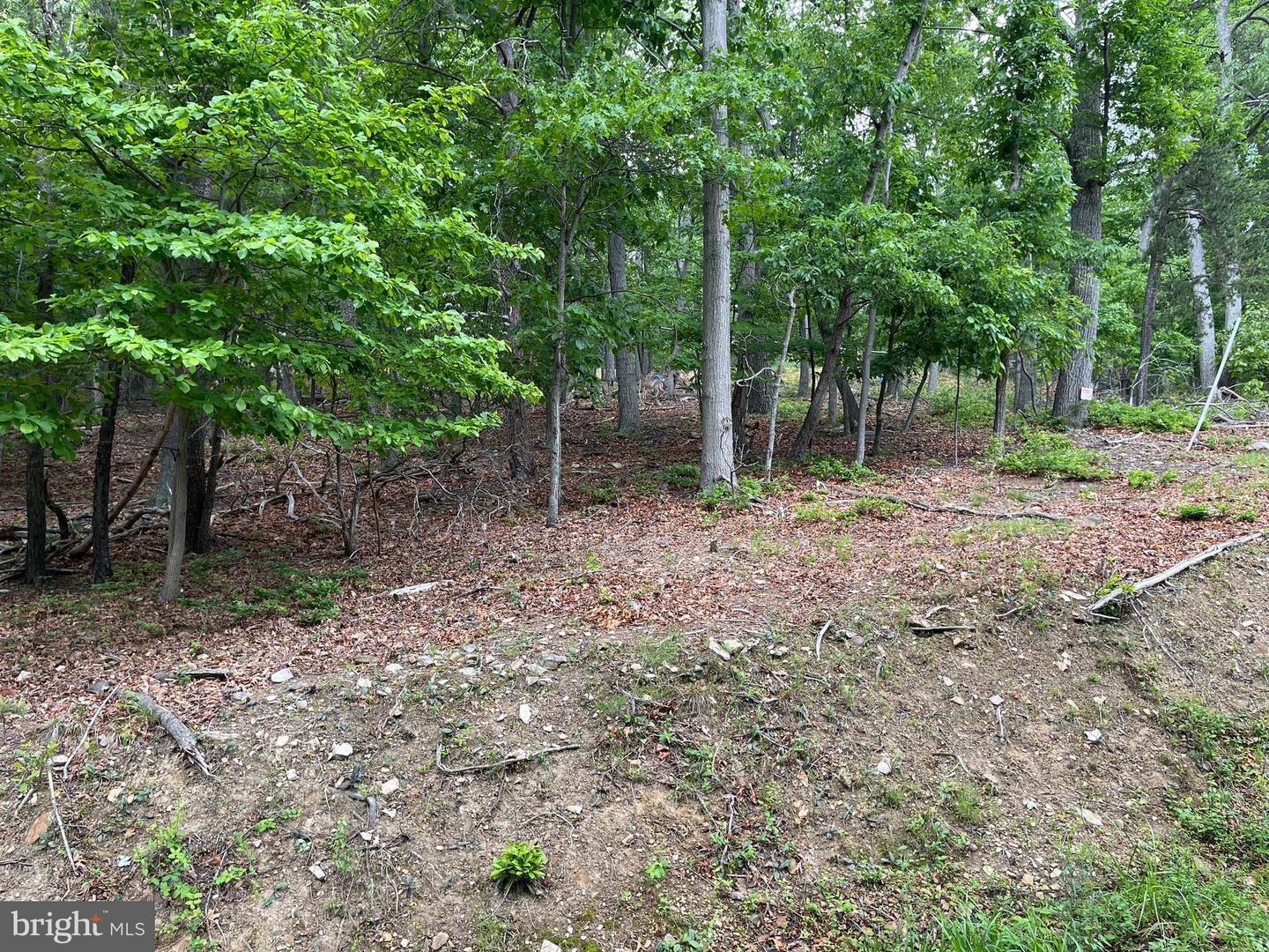 16207 Sumney Dr Property Photo 9