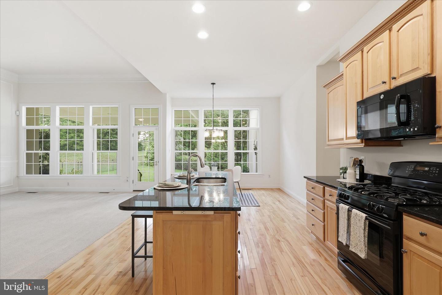 8277 Roxborough Loop Property Photo 16